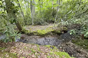 4102 Hwy 221 None S, Blowing Rock, NC 28605 - Photo 5