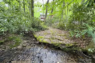 4102 Hwy 221 None S, Blowing Rock, NC 28605 - Photo 3