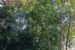 309 Rodoret St N, Valdese, NC 28690 - Photo 5