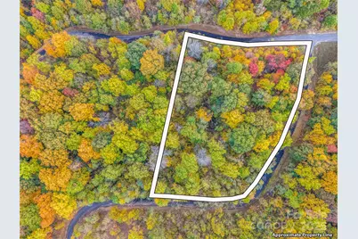 2140 Harm Creek Loop, Mill Spring, NC 28756 - Photo 7