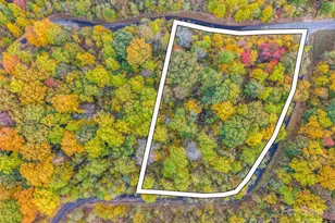 2140 Harm Creek Loop, Mill Spring, NC 28756 - Photo 7