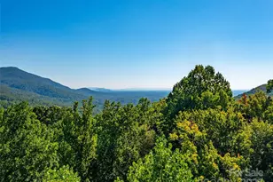 2140 Harm Creek Loop, Mill Spring, NC 28756 - Photo 17