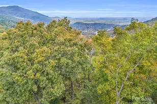 2140 Harm Creek Loop, Mill Spring, NC 28756 - Photo 21