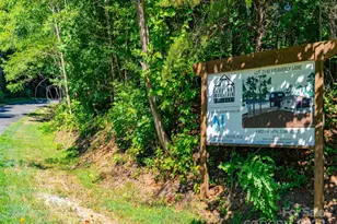 2140 Harm Creek Loop, Mill Spring, NC 28756 - Photo 25