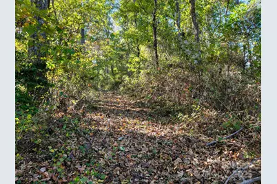 5481 Greenville Highway, Zirconia, NC 28790 - Photo 29