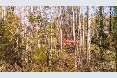 00 N Pinnacle Drive #3, Weaverville, NC 28787 - Photo 19