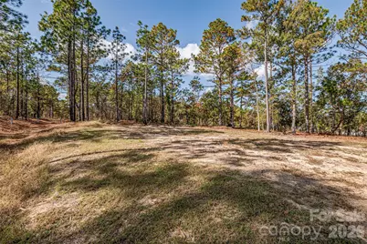 8684 Teals Mill Road, Cheraw, SC 29520 - Photo 33