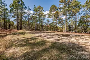 8684 Teals Mill Rd, Cheraw, SC 29520 - Photo 33