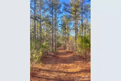 1386 Old Pinckney Road, York, SC 29745 - Photo 23