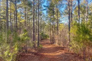 1386 Old Pinckney Rd, York, SC 29745 - Photo 23