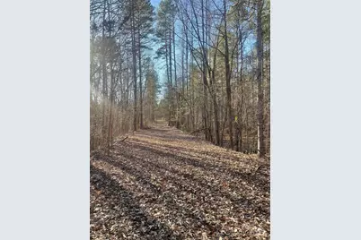 1386 Old Pinckney Road, York, SC 29745 - Photo 19