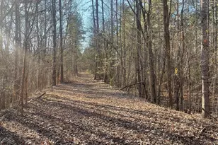 1386 Old Pinckney Rd, York, SC 29745 - Photo 19