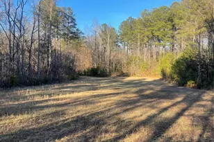 1386 Old Pinckney Rd, York, SC 29745 - Photo 21