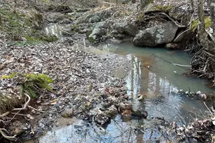 1386 Old Pinckney Rd, York, SC 29745 - Photo 15