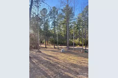 1386 Old Pinckney Road, York, SC 29745 - Photo 25