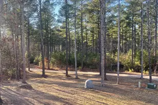 1386 Old Pinckney Rd, York, SC 29745 - Photo 25