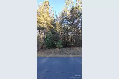 116 Cranberry Lane, Mooresboro, NC 28114 - Photo 27