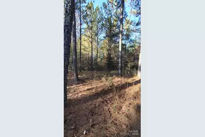 116 Cranberry Lane, Mooresboro, NC 28114 - Photo 31