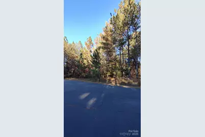 116 Cranberry Lane, Mooresboro, NC 28114 - Photo 19