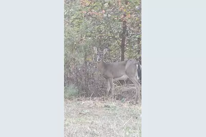 116 Cranberry Lane, Mooresboro, NC 28114 - Photo 39