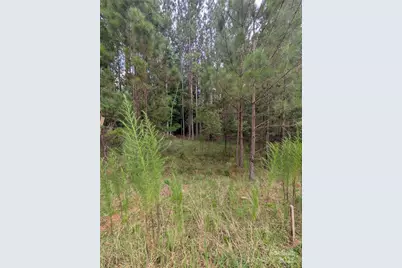 116 Cranberry Lane, Mooresboro, NC 28114 - Photo 7