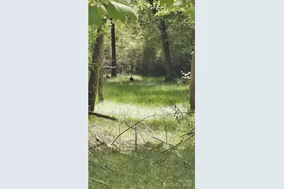 116 Cranberry Lane, Mooresboro, NC 28114 - Photo 13