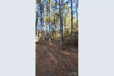 116 Cranberry Lane, Mooresboro, NC 28114 - Photo 29