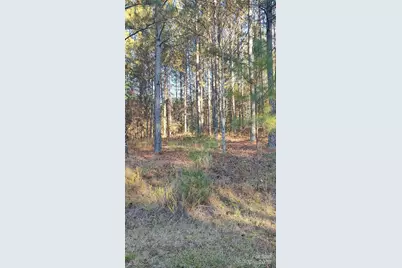 116 Cranberry Lane, Mooresboro, NC 28114 - Photo 17