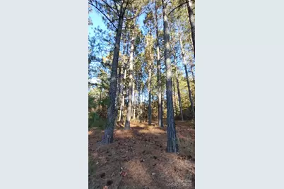 116 Cranberry Lane, Mooresboro, NC 28114 - Photo 23