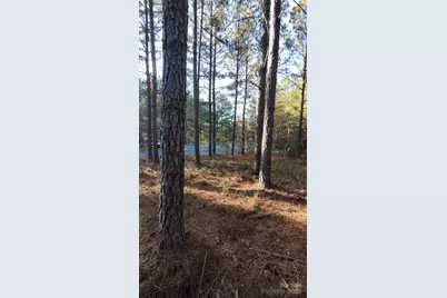 116 Cranberry Lane, Mooresboro, NC 28114 - Photo 35