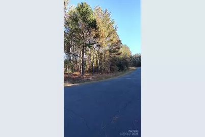 116 Cranberry Lane, Mooresboro, NC 28114 - Photo 21