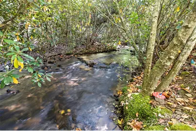 5580 Greenville Highway, Brevard, NC 28712 - Photo 47