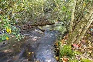 5580 Greenville Hwy, Brevard, NC 28712 - Photo 47