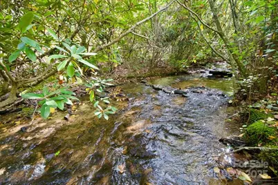 5580 Greenville Highway, Brevard, NC 28712 - Photo 41