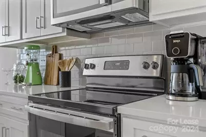 204 Monarch Creek Lane #N Davidson, Charlotte, NC 28206 - Photo 7