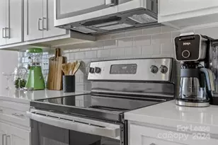 204 MONARCH Crk Ln, Charlotte, NC 28206 - Photo 7