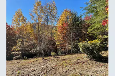 00 Birkdale Drive #159, Mill Spring, NC 28756 - Photo 17