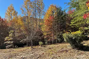 00 Birkdale Dr, Mill Spring, NC 28756 - Photo 17