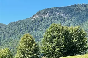 00 Birkdale Dr, Mill Spring, NC 28756 - Photo 15