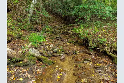 2725 Upper Brush Creek Road, Marshall, NC 28753 - Photo 5