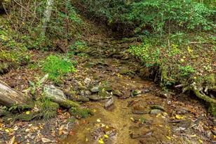 2725 Upper Brush Creek Rd, Marshall, NC 28753 - Photo 5