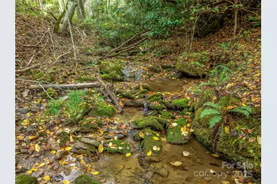 2725 Upper Brush Creek Road, Marshall, NC 28753 - Photo 7