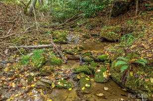 2725 Upper Brush Creek Rd, Marshall, NC 28753 - Photo 7