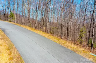 2101 Harm Creek Loop, Mill Spring, NC 28756 - Photo 11