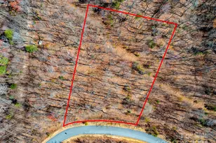 2101 Harm Creek Loop, Mill Spring, NC 28756 - Photo 9