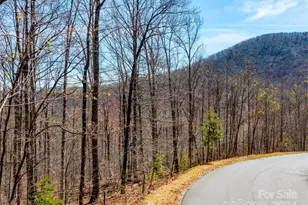 2101 Harm Creek Loop, Mill Spring, NC 28756 - Photo 13