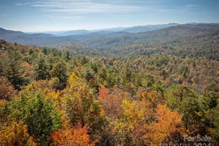 47 Ruffed Grouse Rd, Brevard, NC 28712 - Photo 9