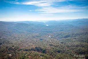 47 Ruffed Grouse Rd, Brevard, NC 28712 - Photo 11