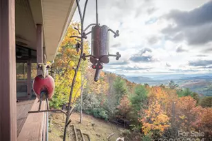 47 Ruffed Grouse Rd, Brevard, NC 28712 - Photo 45