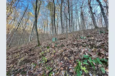 383 Blue Mist Mountain Road, Whittier, NC 28789 - Photo 43